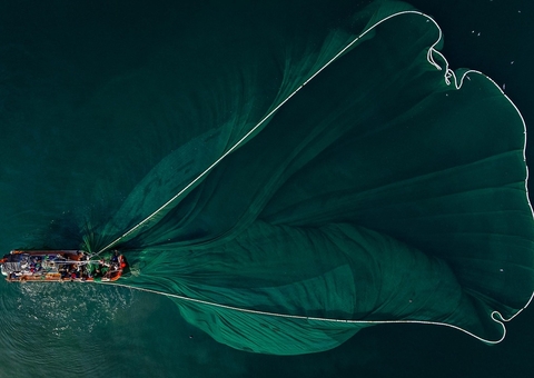 Governo lança Selo da Pesca Artesanal para certificar origem e qualidade de produtos