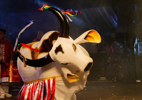 Boi Corre Campo recebe bênçãos de Santo Antônio neste sábado em Manaus