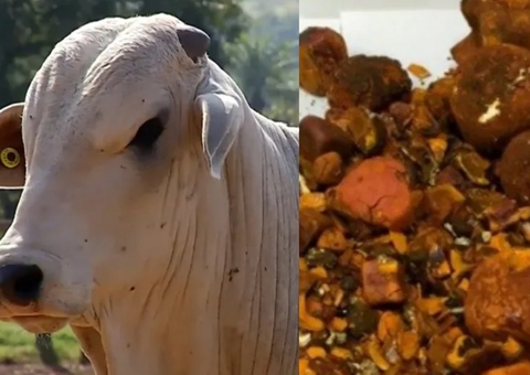 Pedra de boi avaliada em R$ 1 milhão é roubada de frigorífico em Rondônia