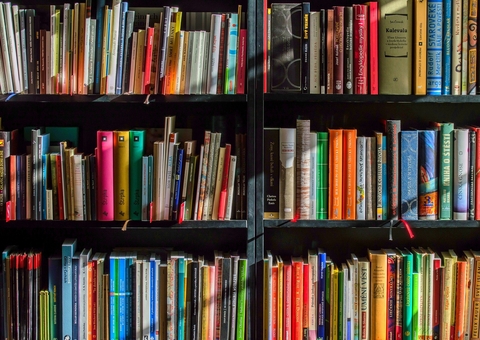  Leitura pode reduzir a pena na prisão, mas ainda há desafios