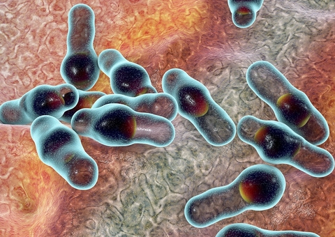 Brasil registra sexto caso de botulismo e duas mortes pela doença