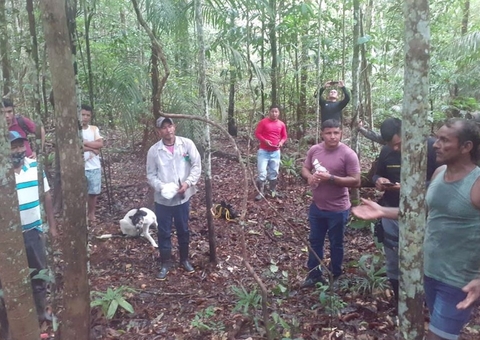 Buscas por irmãos indígenas desaparecidos chegam ao 5º dia no Amazonas 