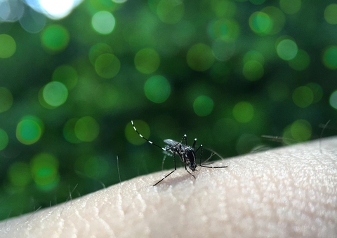 Amazonas entra em "período crítico" de arboviroses e FVS divulga orientações