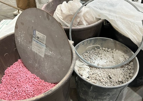 Cúrcuma, Chá Verde e mais: Anvisa proíbe suplementos sem registro