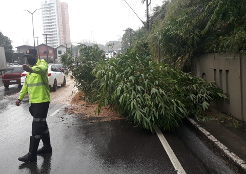 Forte chuva causa alagamento e destelhamento de casas em Manaus