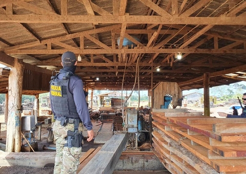 PF faz operação para apurar ilegalidades em serrarias do Amazonas