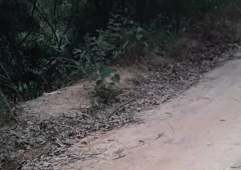 Cabeça humana é encontrada dentro de sacola em ponto de ônibus 