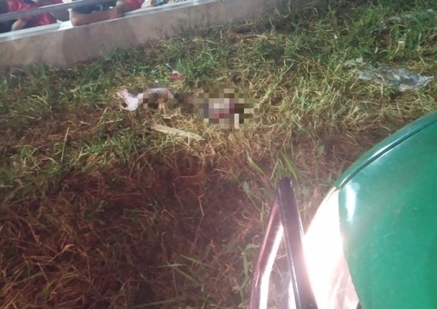 Cabeça humana é encontrada jogada em calçada no Jorge Teixeira