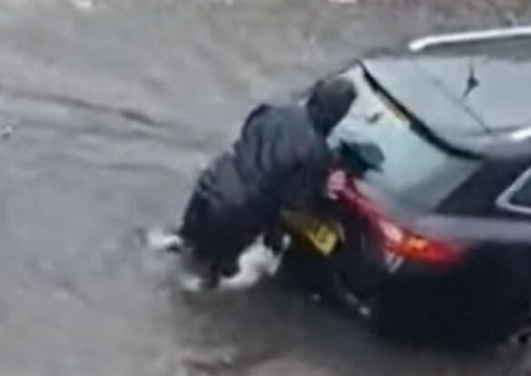 Cachorro ajuda dona a empurrar carro durante forte chuva; Confira o vídeo 