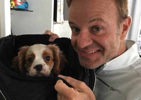 Cachorro de Rubinho Barrichello morre após comer 11 bitucas de cigarro