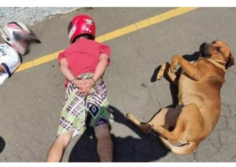 Cachorro surpreende ao deitar ao lado de suspeitos em abordagem policial