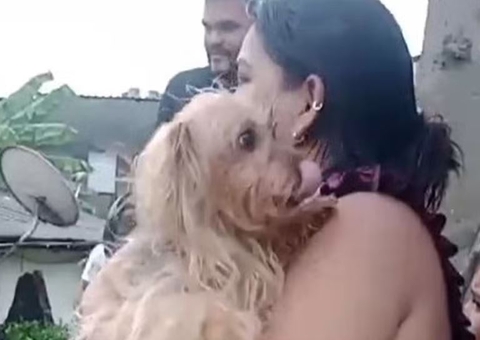 Cadela é resgatada após passar 2 horas sob escombros de casa no Petrópolis