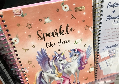 Material escolar tem gasto de R$ 209 mil em Anori