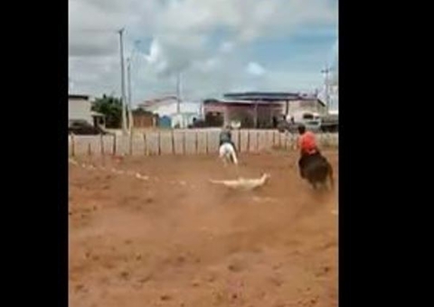Vídeo: Homem quebra ossos do rosto ao ser arremessado de cavalo em vaquejada