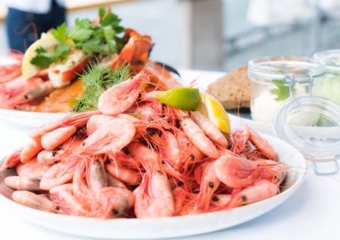 Frutos do mar previnem o aparecimento de tumores