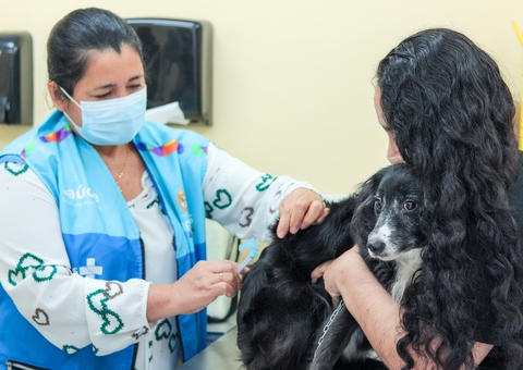 Campanha de vacinação antirrábica atende em domicílios da Zona Norte de Manaus
