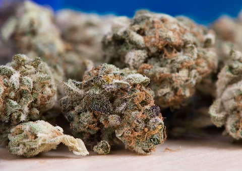 Dupla é presa com drogas após tentar fugir da polícia em Manaus