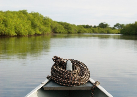 Suspeito é preso após colisão entre canoas no Amazonas; 1 pessoa morreu
