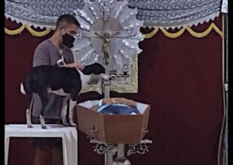 Vídeo mostra cachorro ao lado do caixão do dono em velório no Amazonas