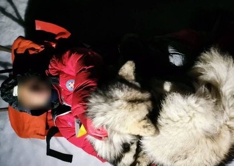 Após acidente na neve, cachorro salva a vida de montanhista na Croácia