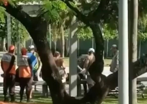 Mulher é atacada por capivara enquanto passeava com cachorro; vídeo