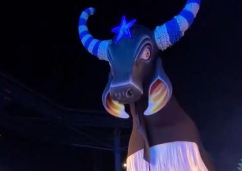 Bumbá Caprichoso fará pocket show no Hemoam nesta quinta