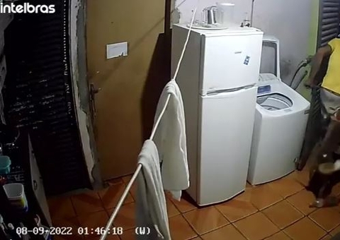Assaltante é mordido por cachorro e pede para ser levado ao hospital pelos donos da casa