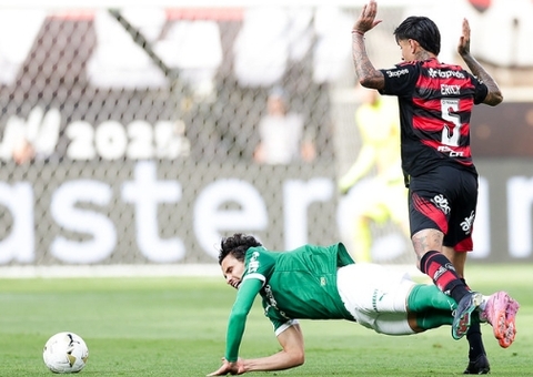 Pós-derrota do Palmeiras: saiba como lidar com dor, raiva e piadas de rivais