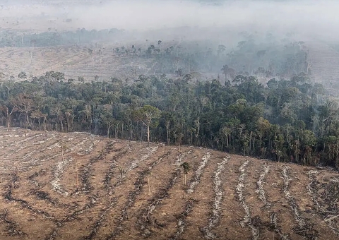 Lábrea e Apuí perdem quase 30 mil campos de futebol para o desmatamento em 1 ano