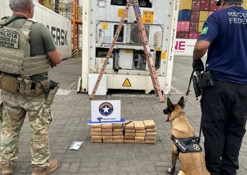 PF apreende drogas em contêiner de açaí que iria para a Austrália