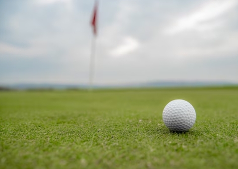 Mergulhador fatura milhões recuperando bolas de golfe que caem na água