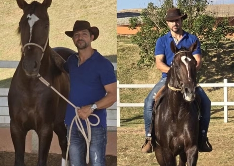 Em caso inédito, ração tóxica causa morte de ao menos 245 cavalos; entenda