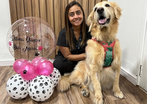 Outubro Rosa Pet: câncer de mama também pode afetar animais de estimação