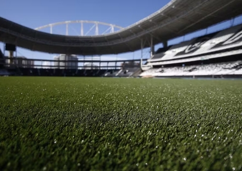 Botafogo x Palmeiras: onde assistir ao vivo, horário e escalações