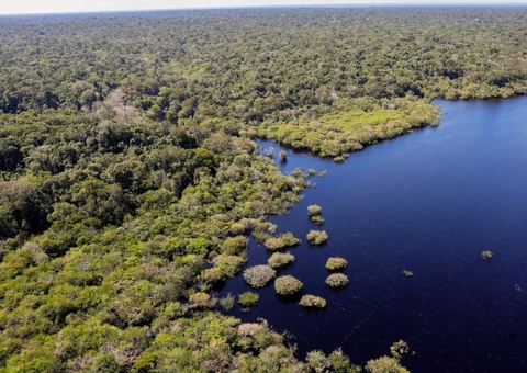 Capital do Brasil pode ser transferida para Belém em novembro; entenda