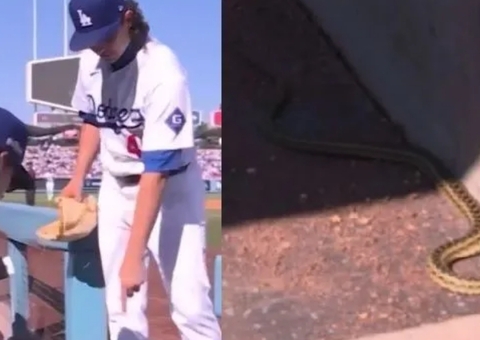 Cobra assusta jogadores em banco de reservas na MLB