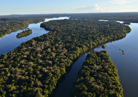 Biden deve sobrevoar a Amazônia ao lado de cientista brasileiro