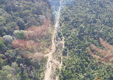 Região sul do Amazonas lidera em ramais clandestinos ao longo da BR-319