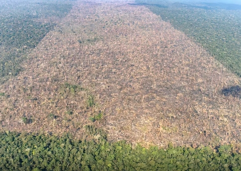 Amazônia perdeu área de vegetação do tamanho da França em 40 anos