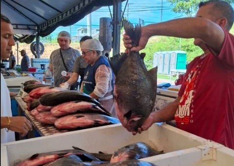 Último dia do Feirão do Pescado acontece nesta sexta em Manaus; saiba locais