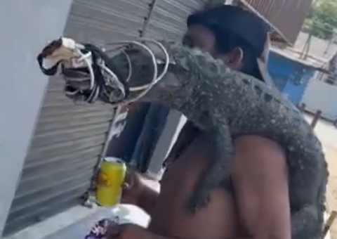 Homem que viralizou carregando jacaré é flagrado cortando animal em Manaus