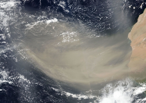 Poeira do Saara é detectada na Amazônia por torre de estudos do ar