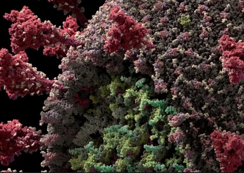Média diária de mortes por covid-19 passa de 1,5 mil, informa Fiocruz