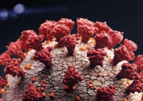 São Paulo confirma nove casos da variante amazônica da Covid-19 no estado 