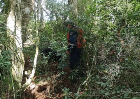 Adolescente desaparecida há 3 dias é achada morta amarrada em árvore