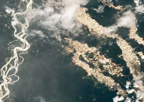 'Rios de ouro' na Amazônia são registrados pela Nasa; entenda
