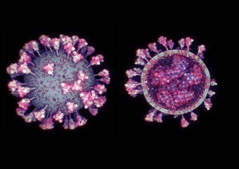 Estudo deve identificar relação da variante P1 com aumento de mortes no AM