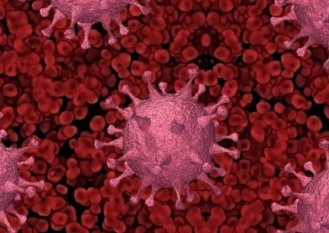 Variante peruana da Covid-19 é identificada no Brasil