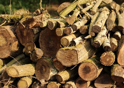 Indígenas processam rede francesa por desmatamento na Amazônia