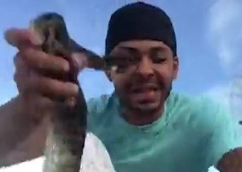 Homem grava vídeo mostrando píton capturada e o pior acontece; veja